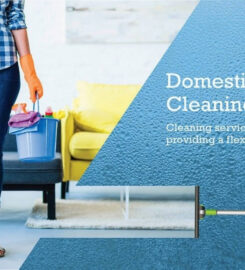 Nile Cleaning Services