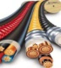 Golden International Auto parts LLC