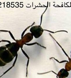 pest control service oman