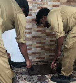 Modern Arabian Pest Control Services – Muscat