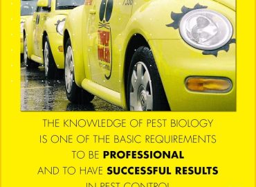 Truly Nolen International for Pest Control & Disinfection Services