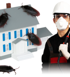 Muscat Pest Control