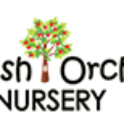 British Orchard Nursery – DIFC