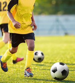 Indian School Wadi Al Kabir