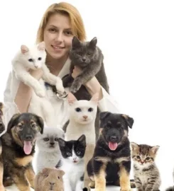 PetCare VETERINARY CENTRE