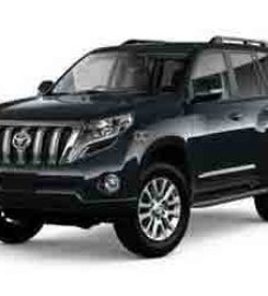 DREAMZ RENT A CAR LLC