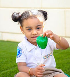 Little Explorers Nursery