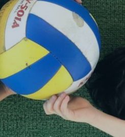 American Lyceum International Nursery