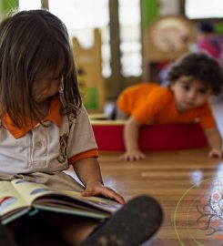 Orange Tree Nursery Oman