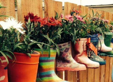 Little Dreams Nursery Muscat