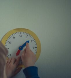 Blossom Al Manara Nursery