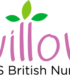 Willow Children's Nursery – One Central
